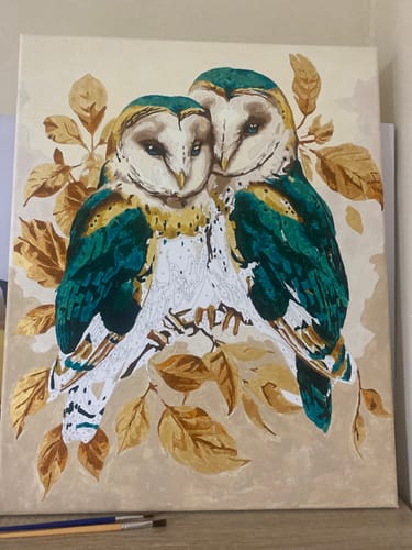 Customer photo review of צביעה לפי מספרים - BS54124