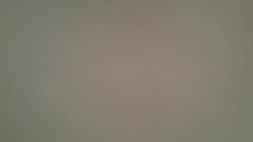 Customer photo review of Manilla modelo '6501' de zamak acabado dorado brillo con placa ovalada para puertas