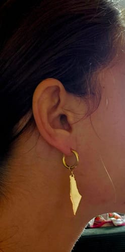 Customer photo review of Palestine Earrings