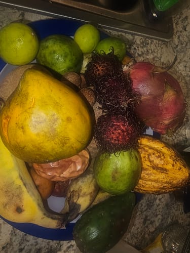 Customer photo review of Tropical Variety Box