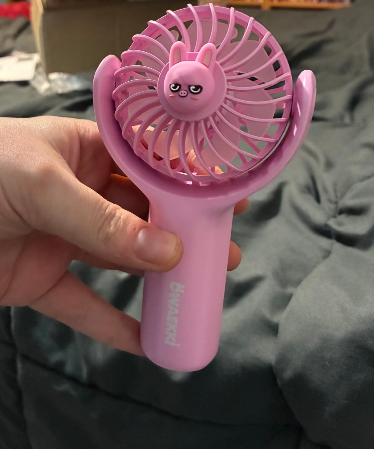 Customer photo review of STRAY KIDS - dominATE SEOUL WORLD TOUR OFFICIAL MD SKZOO HANDHELD FAN