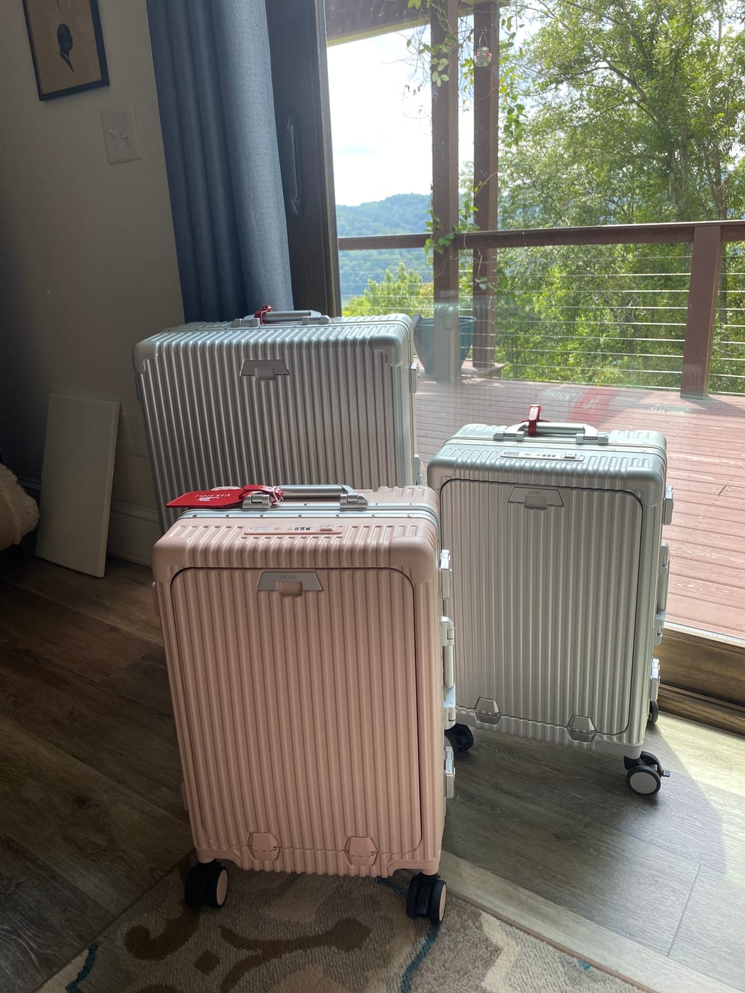 Customer photo review of Carry-on + Check-in
