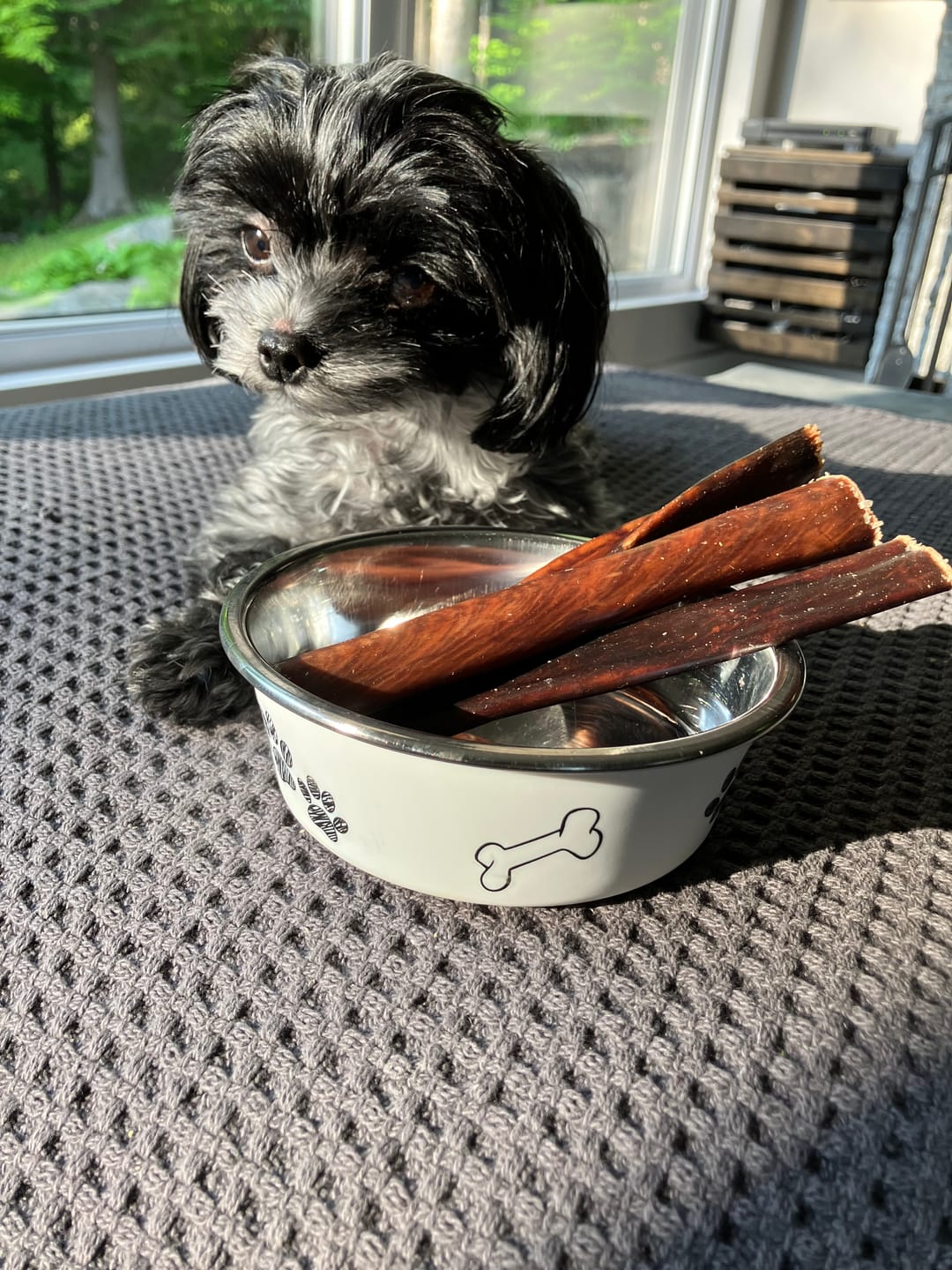 Customer photo review of Vrac Nature's Own - Bâtonnets oesophage de boeuf pour chien