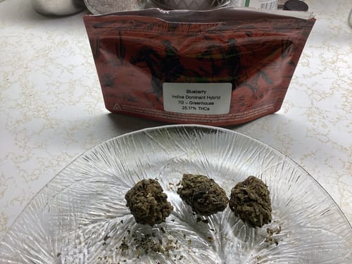 Customer photo review of Blueberry