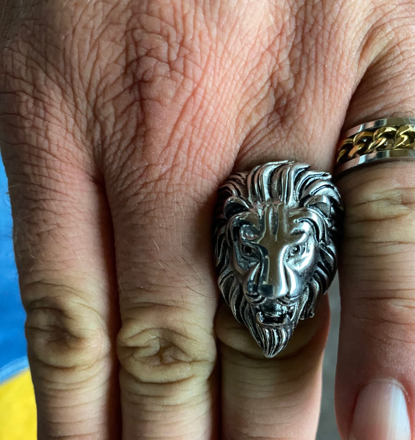 Customer photo review of LION KING.