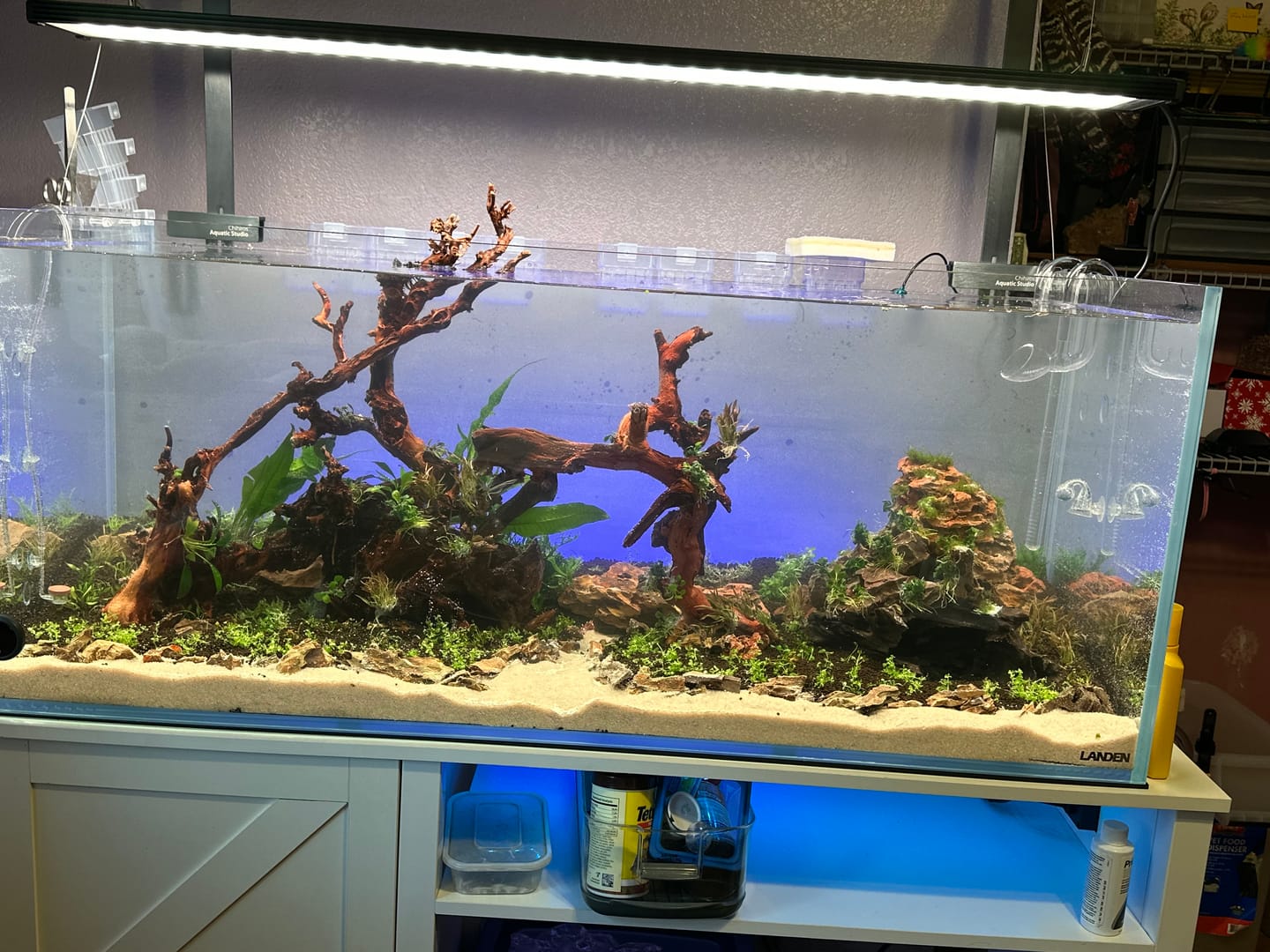 Customer photo review of Chihiros WRGB II Pro LED Light