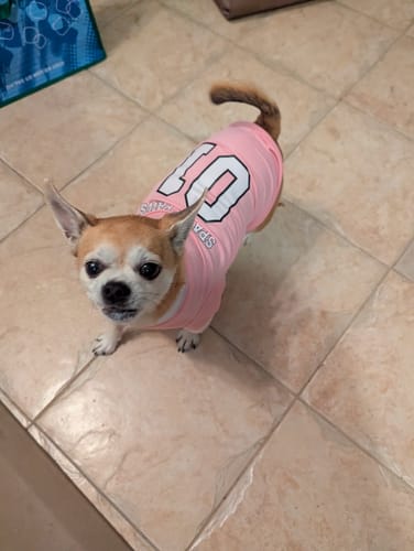 Customer photo review of Football Mesh Jersey - Pink