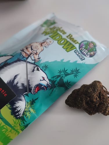 Customer photo review of Hi Bros®-  White Bear "WIDOW"