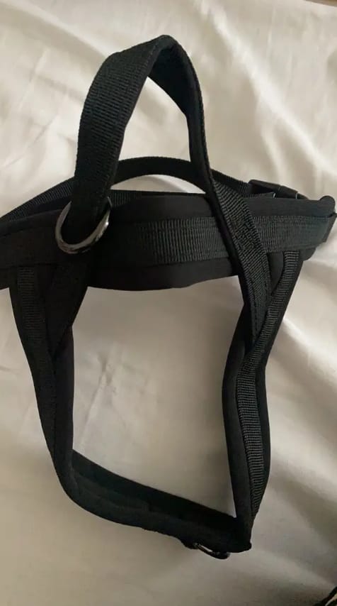 Customer photo review of StrapSure - No-Pull Verstelbaar Hondentuig