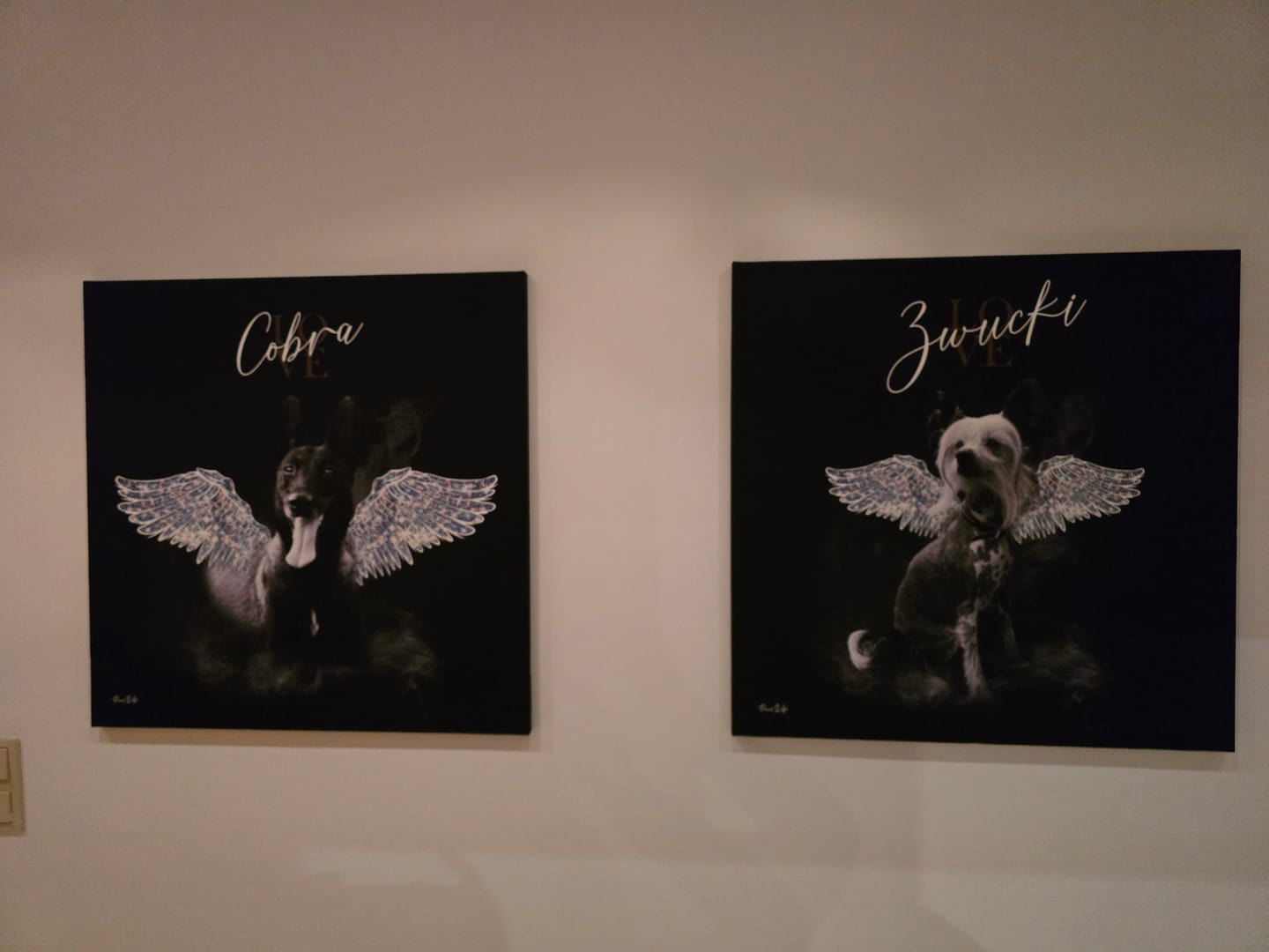 Customer photo review of Personalisiertes Portrait - Diamant Engel Stil