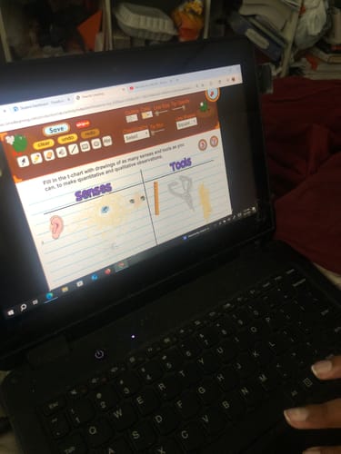 Customer photo review of First Grade Curriculum