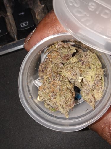 Customer photo review of Yolo Runtz
