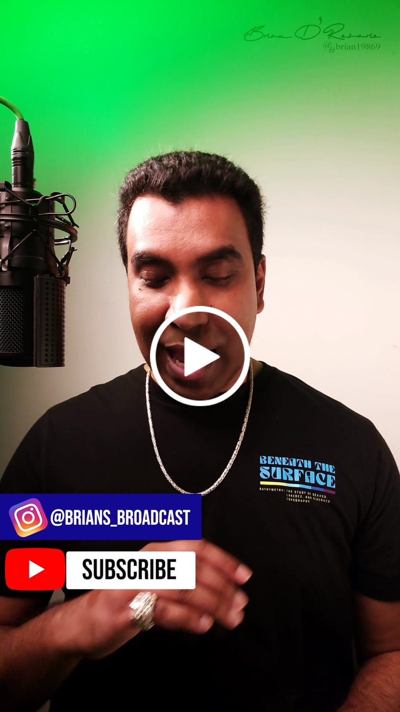 Customer video review of Vervantaville inspired by Greenley
