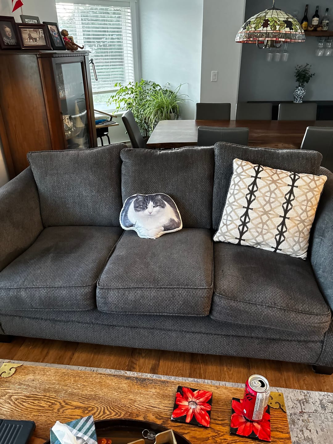 Customer photo review of Custom Dog Shaped Memorial Pillow for Pet Owners from Your Pet Picture