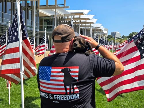 Customer photo review of Hero Company American Flag Dogs & Freedom Black Tee: Helps Pair Veterans With A Service Dog or Shelter Dog