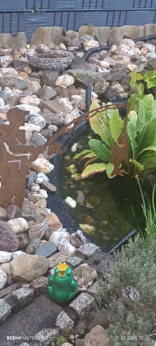 Customer photo review of Gartenstecker Angler