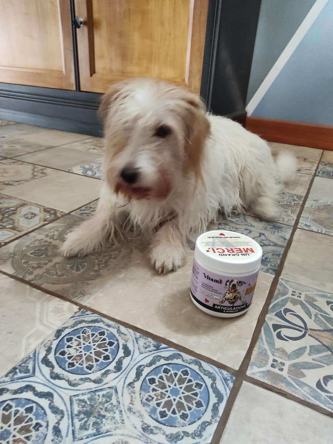 Customer photo review of Friandises Naturelles Articulations
