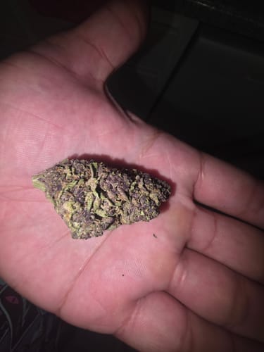 Customer photo review of Grape Ape - 28 Grams - Indica