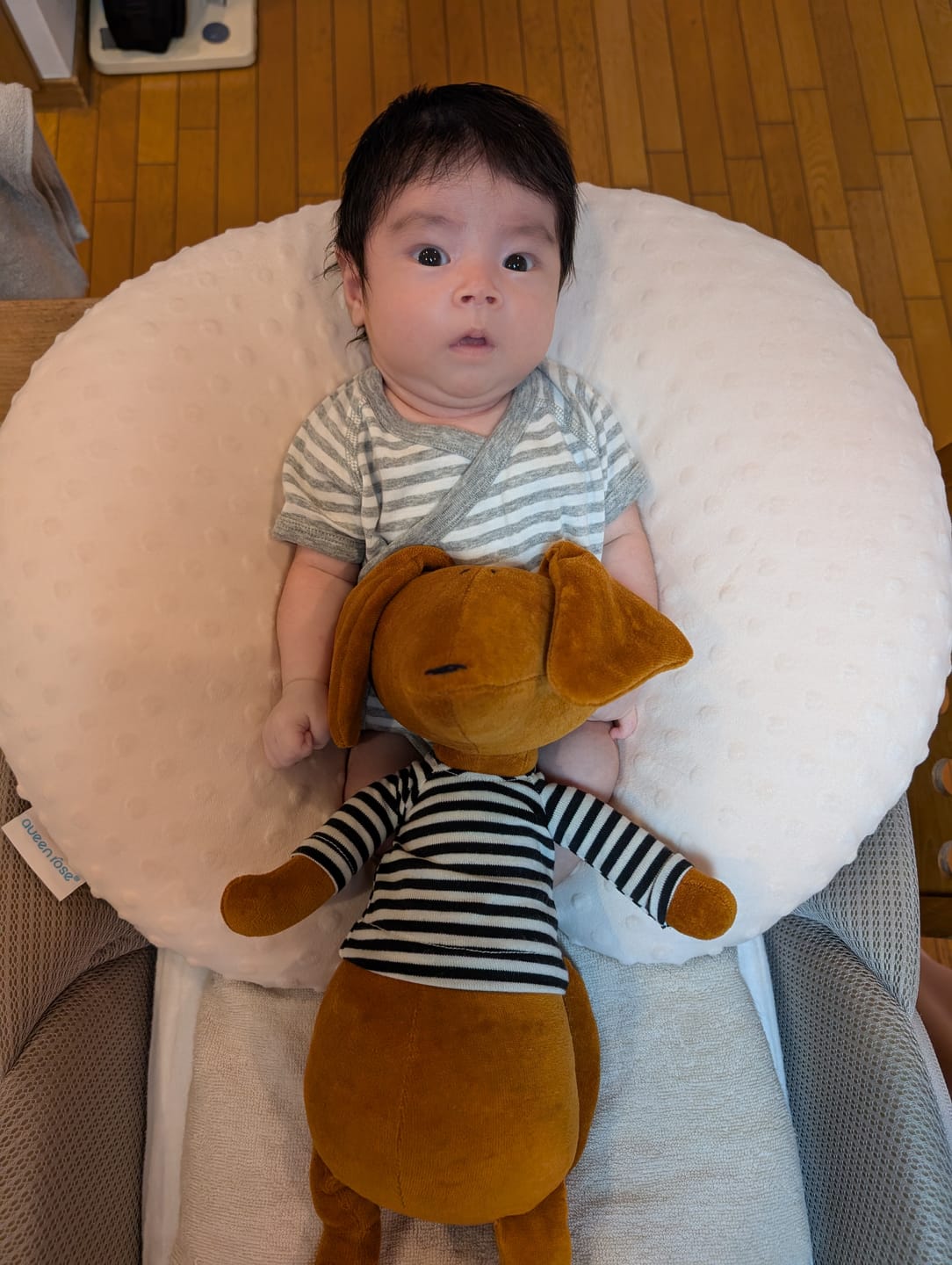 Customer photo review of SCOTT LE TECKEL - L