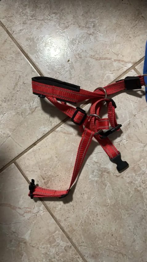 Customer photo review of PullEase - Padded Anti-Trek Hoofdharnas
