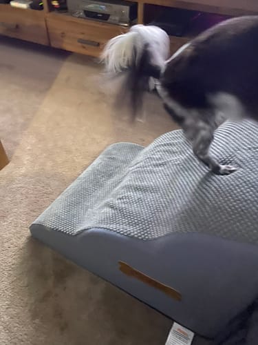 Customer photo review of PaWz Soft Foam Dog Stairs – Non-Slip Dog Steps for Beds & Couches