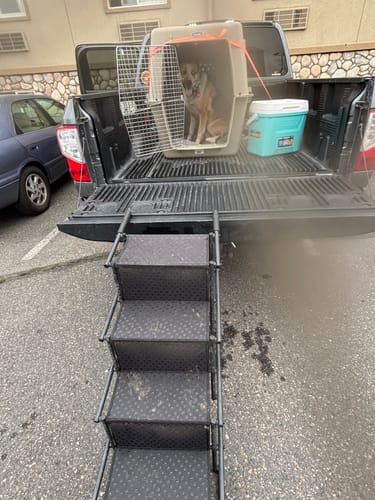 Customer photo review of Portable Dog Stairs for RuffRover 2.0