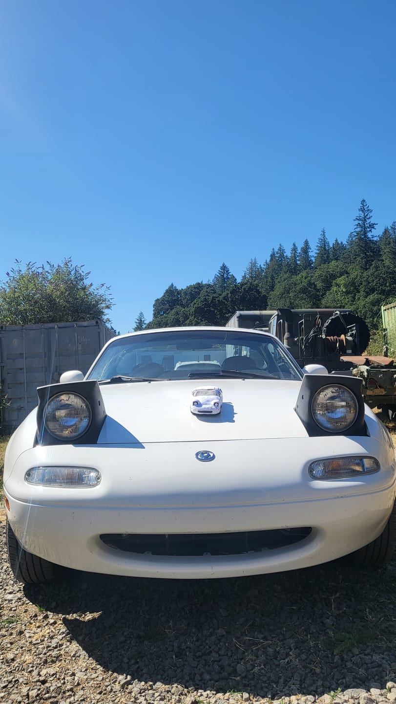 Customer photo review of Miata MX5 Plushie