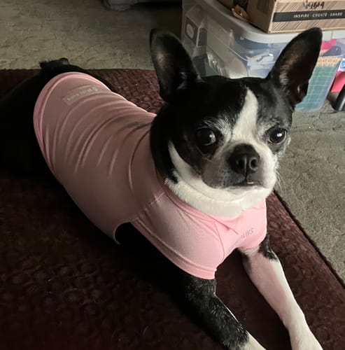 Customer photo review of Sunblock T-Shirt 3 Pack