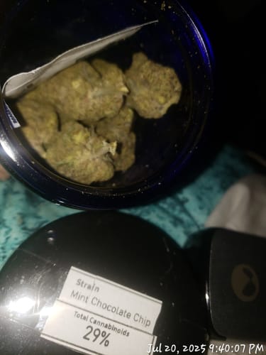 Customer photo review of Mint Chocolate Chip