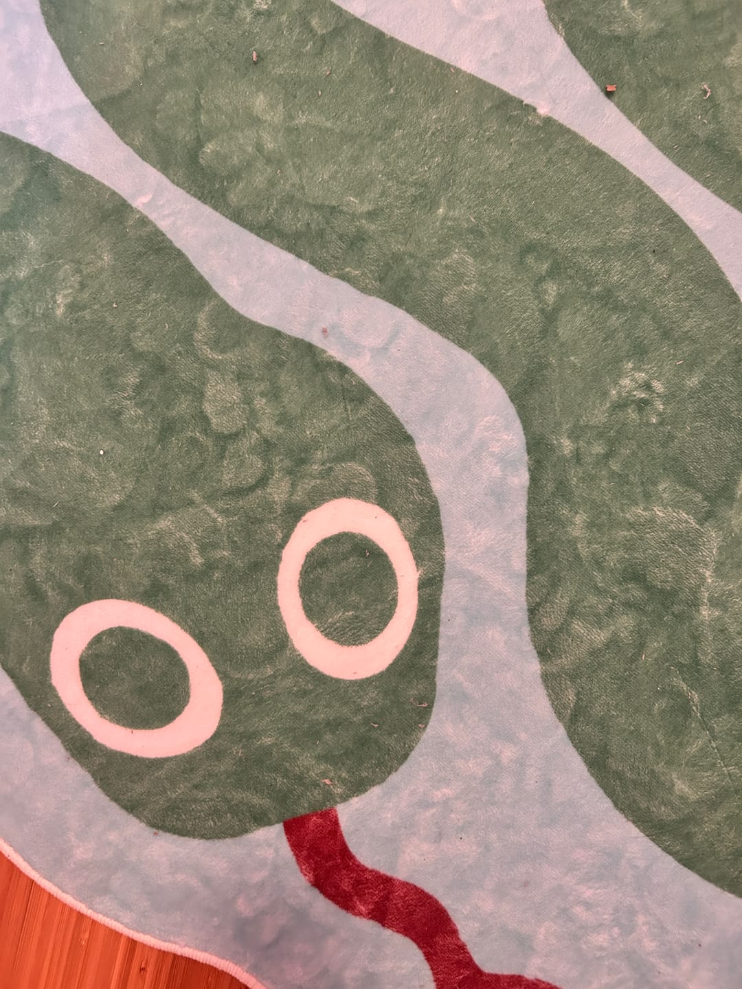 Customer photo review of Spiral Snake Design Rug by Johann Banta