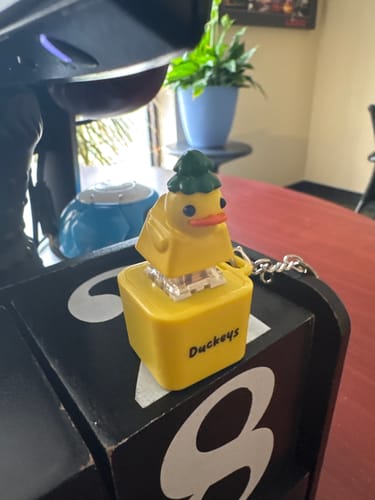 Customer photo review of Quackey - Fidget Toy that Quacks!