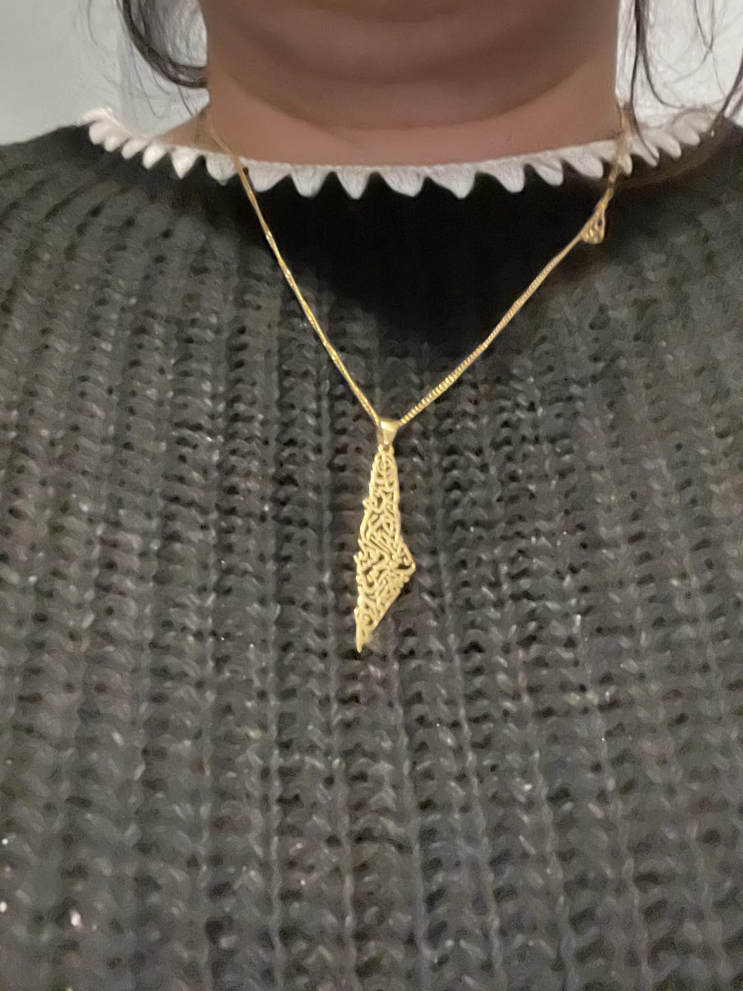 Customer photo review of Palestine Calligraphy Map Necklace