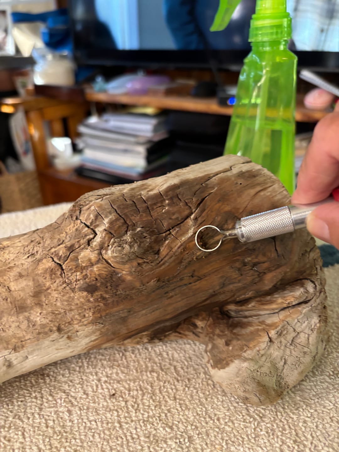 Customer photo review of Large Round Carving Routers