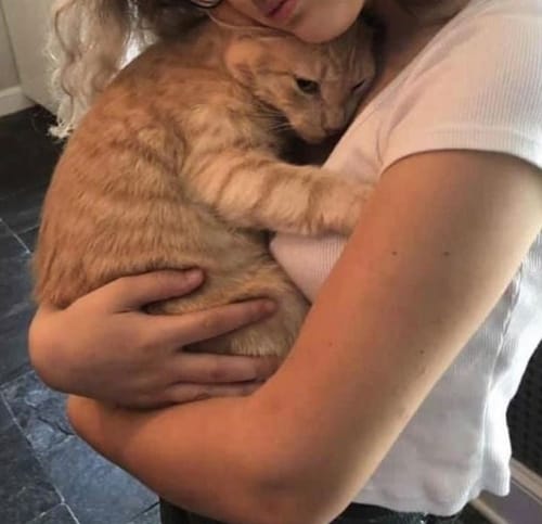 Customer photo review of Patsli Belly