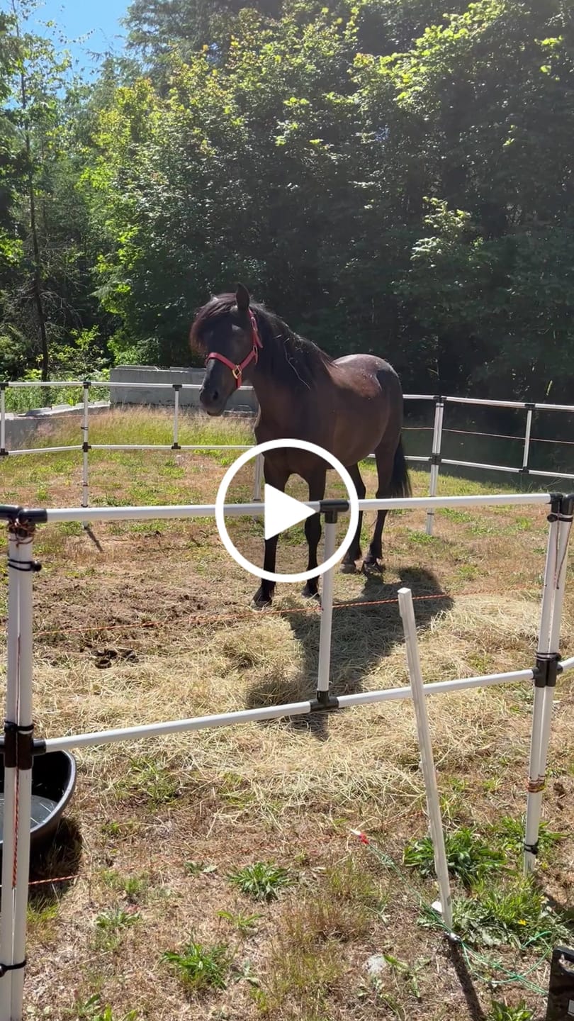 Customer video review of Ready Made Portable Electric Horse Corral Fencing: (Electric EconoLine 10+2=12 Panels; 2 Rails)