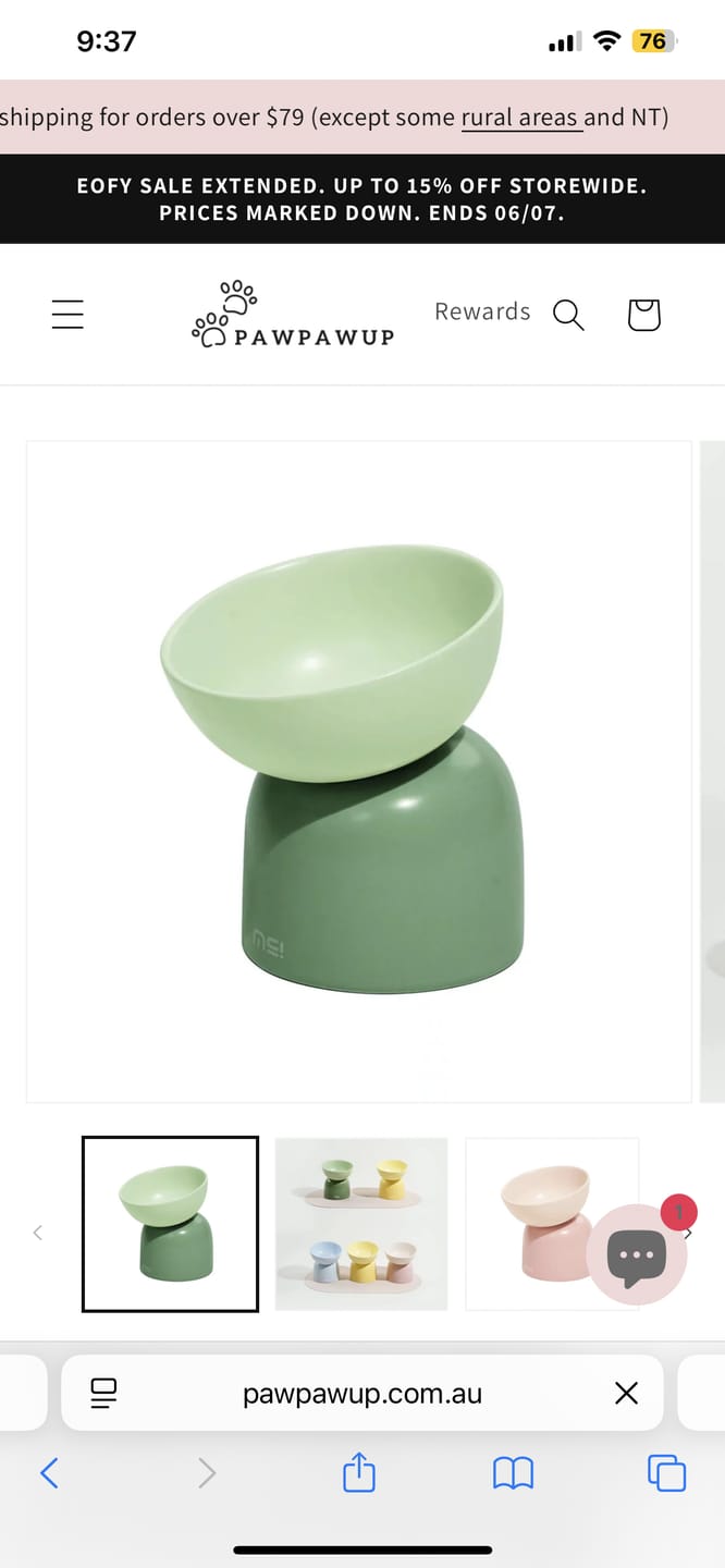 Customer photo review of Makesure Sugar Bean Ceramic Double Pet Bowls For Cat and Small Dogs