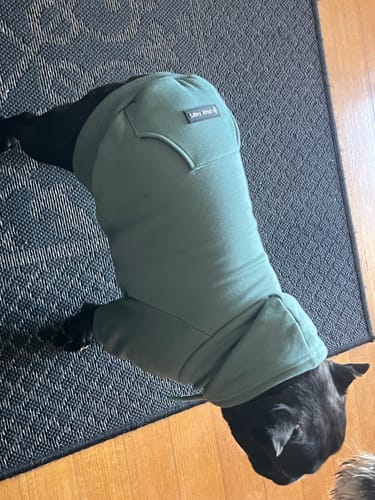 Customer photo review of Teddy Sherpa Fleece Dog Jacket - Brown