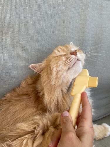 Customer photo review of Fellblitz-Bürste