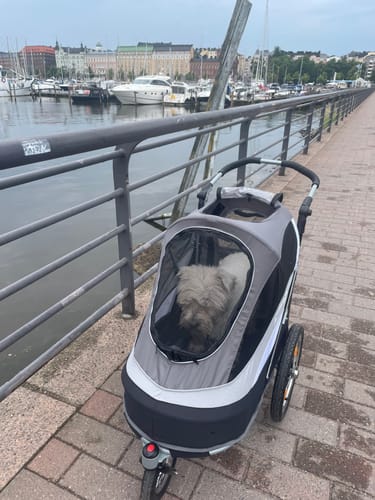 Customer photo review of Sporty Dog Trailer Deluxe lemmikkivaunut