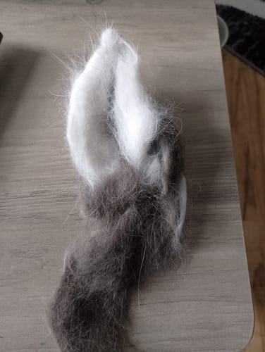 Customer photo review of Fellblitz-Bürste