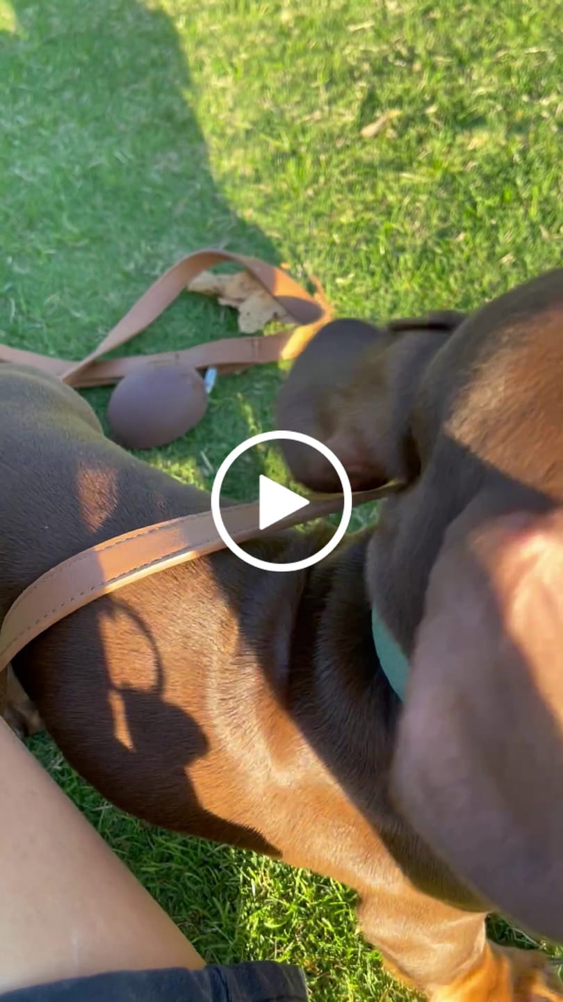 Customer video review of TREAT POUCH - Cocoa
