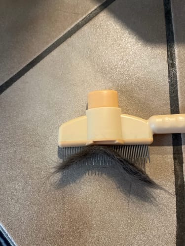 Customer photo review of Fellblitz-Bürste