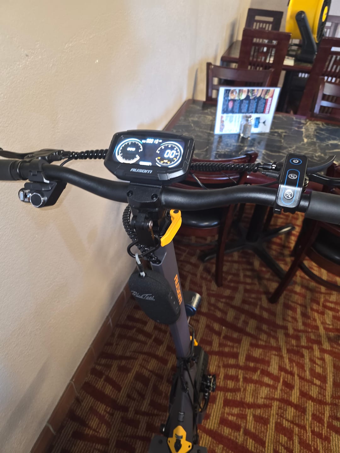Customer photo review of Ausom L1 Electric Scooter