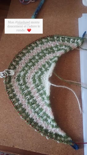 Customer photo review of Isla Shawl