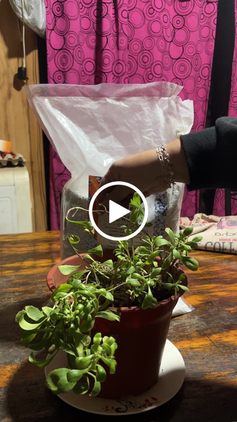 Customer video review of PERLITA EXPANDIDA PREMIUM