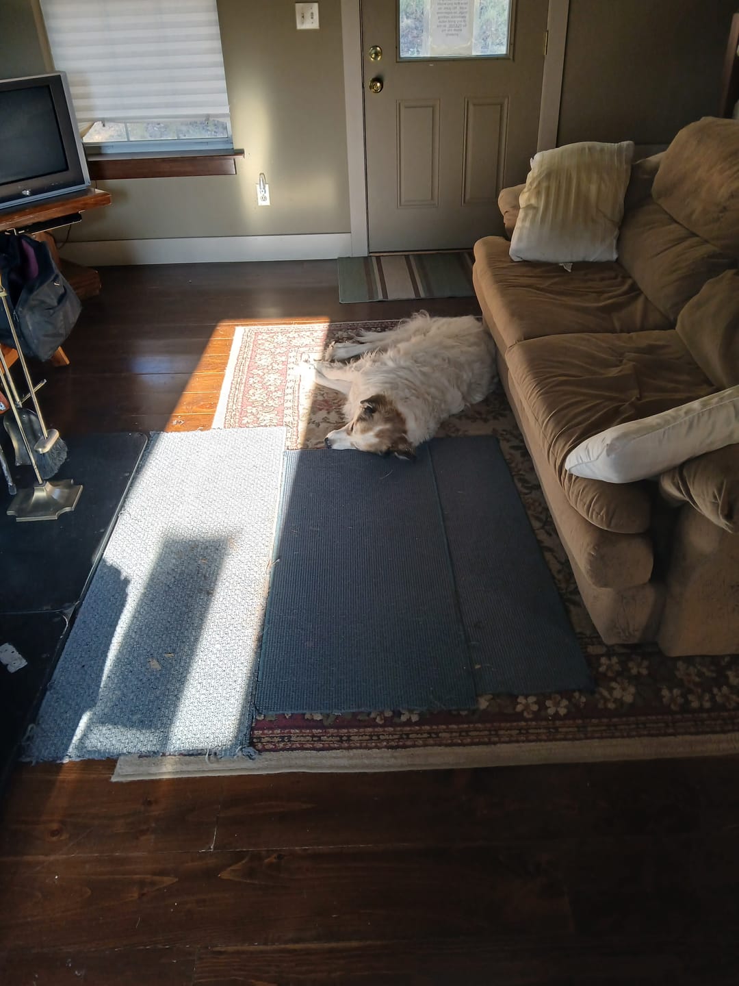 Customer photo review of Lolahemp Hip & Joint Chews (B)