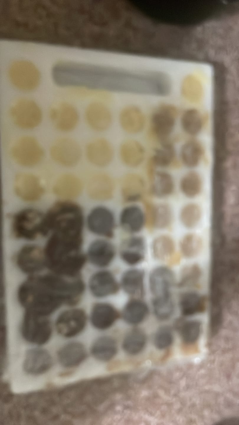 Customer photo review of Portioning Board for 15g Brigadeiros (50 Holes)