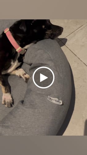 Customer video review of Funda Lino para Cama Antiestrés para Perros