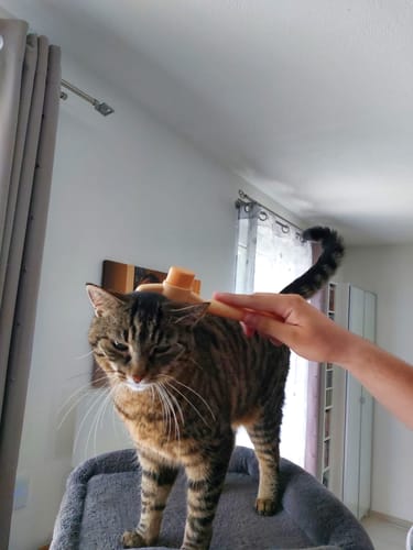 Customer photo review of Fellblitz-Bürste