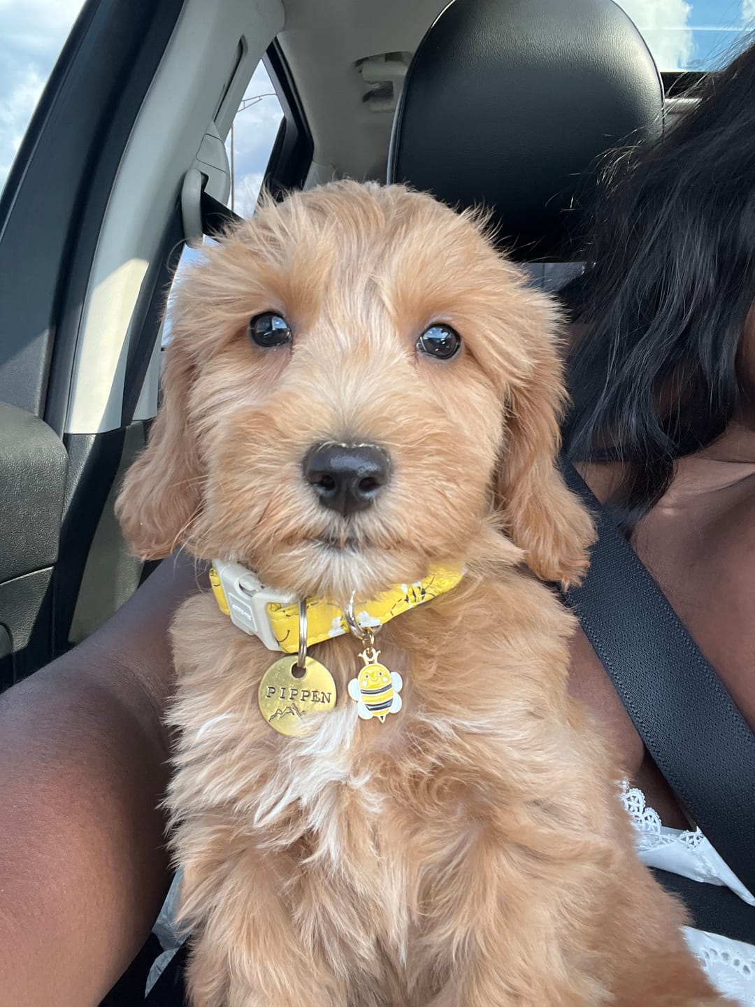 Customer photo review of Hand Stamped Pet ID Tag